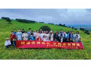 從空調房到草原天路，公司帶你解鎖夏日新體驗。